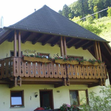 Apartament Haus Am Bach Fryburg Bryzgowijski Zewnętrze zdjęcie