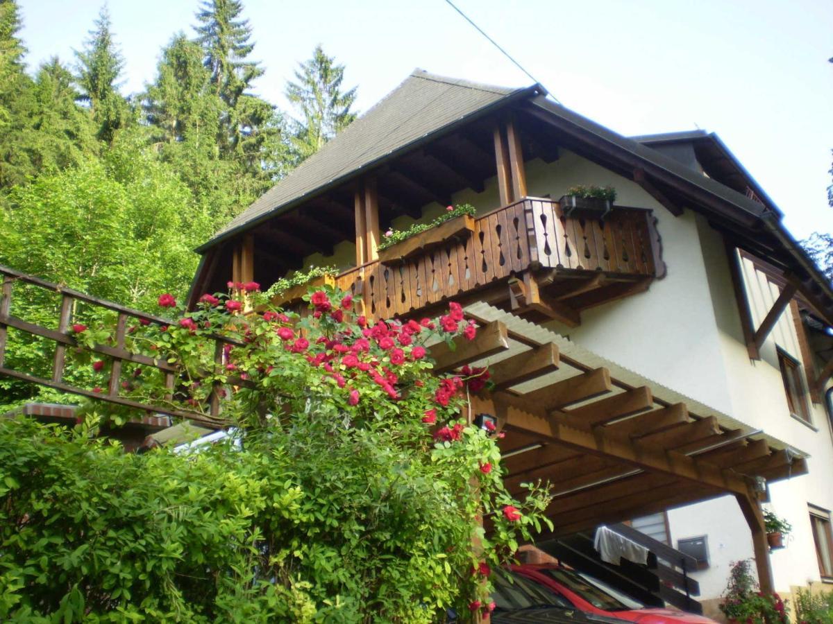 Apartament Haus Am Bach Fryburg Bryzgowijski Zewnętrze zdjęcie